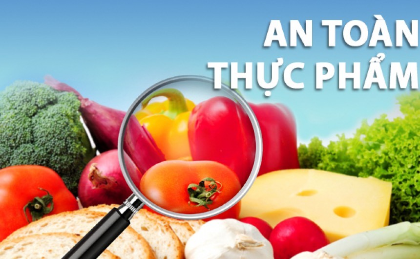 Chi Cục Quản lý chất lượng Nông Lâm sản và Thuỷ sản Thanh Hoá, hoạt động và hiệu quả.