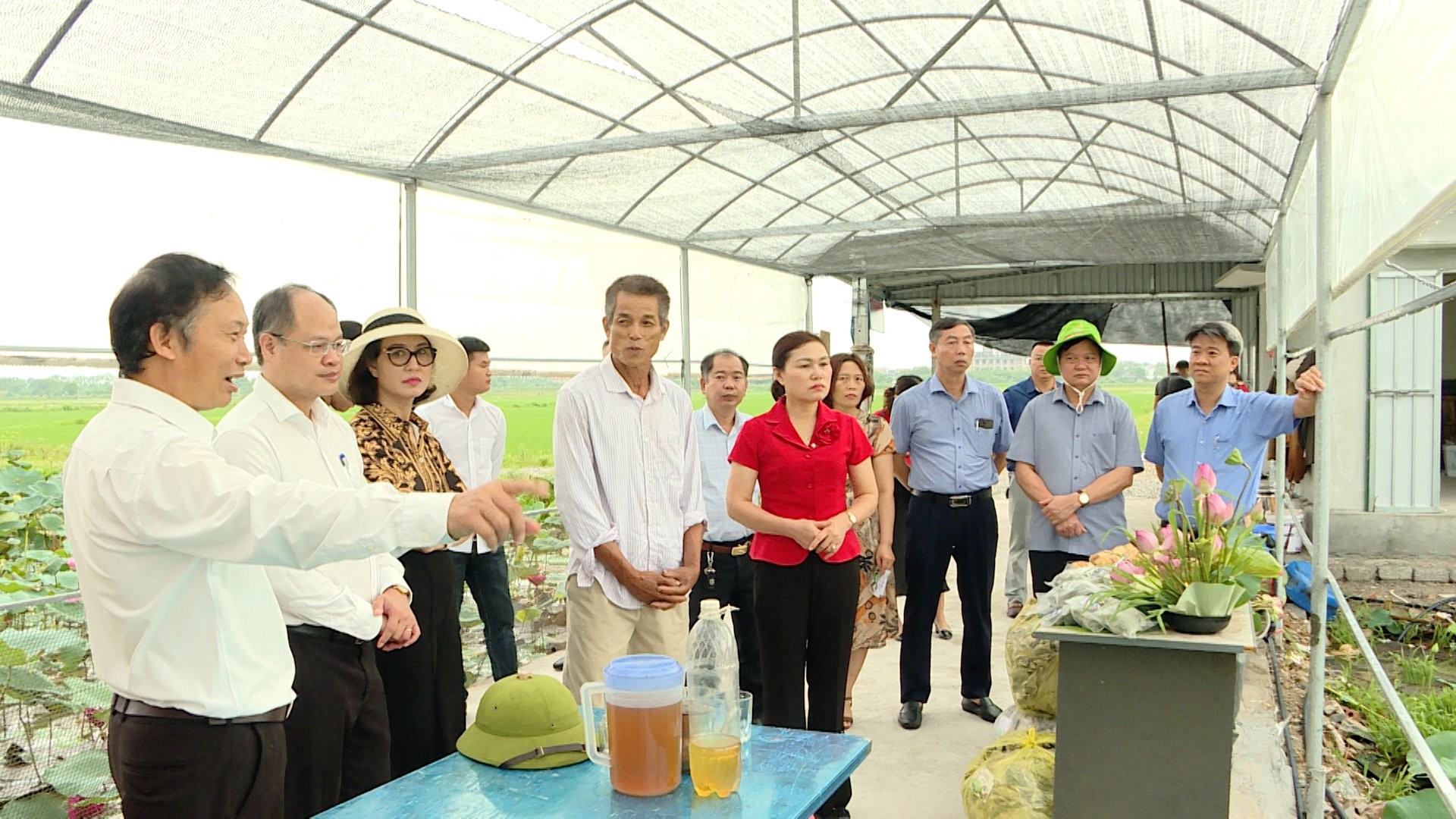 Xây dựng chính sách đặc thù khuyến khích phát triển nông nghiệp trên địa bàn TP Hà Nội
