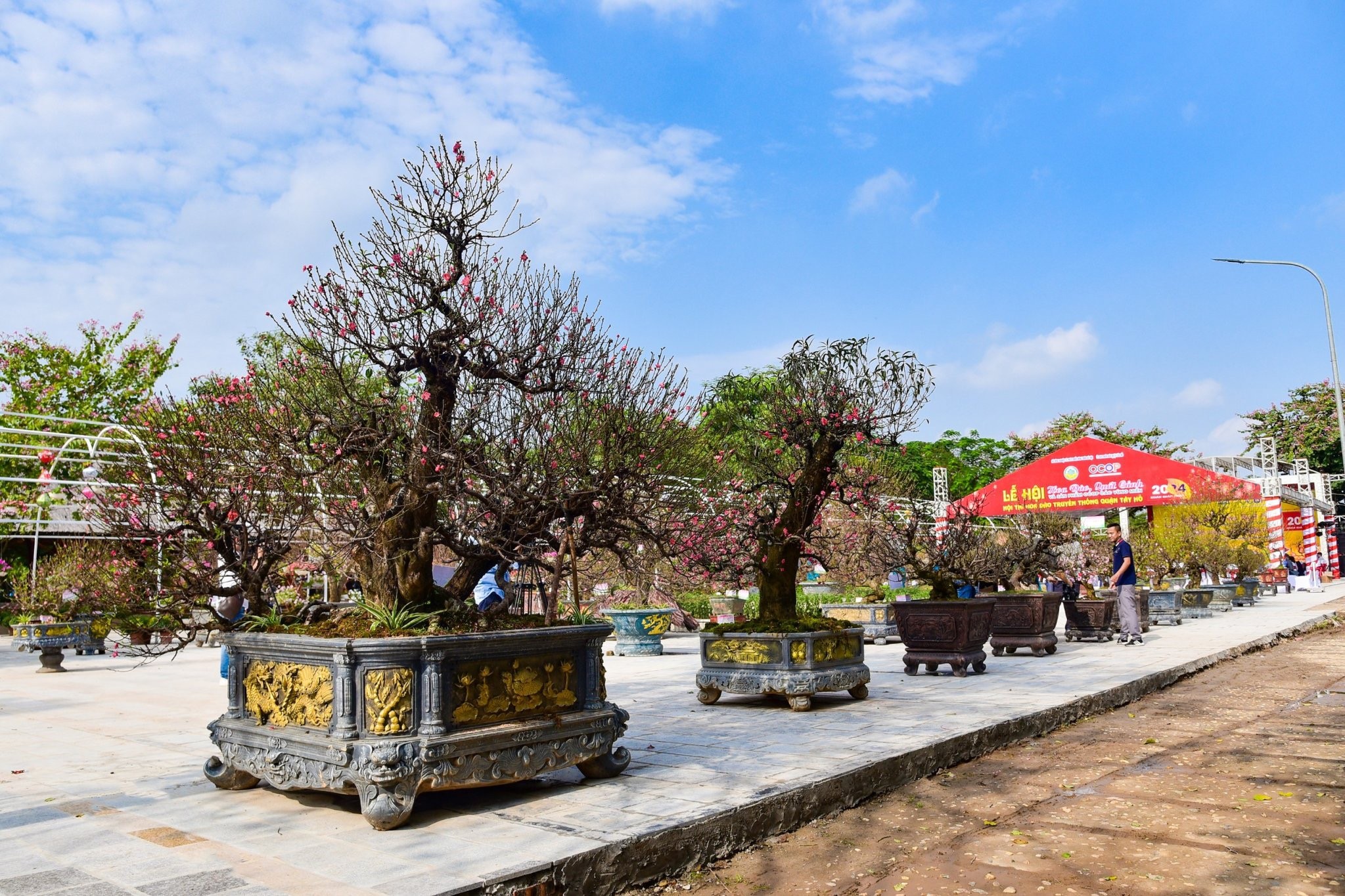 Tôn vinh những giá trị làng nghề truyền thống Hoa Đào Nhật Tân!