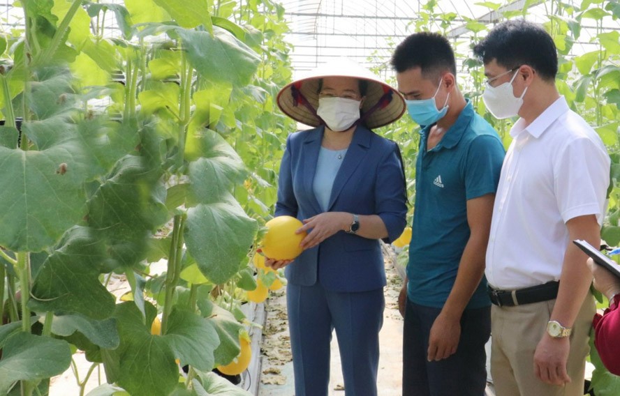 Các cấp Hội Nông dân Thủ đô: Góp phần phát triển kinh tế nông thôn