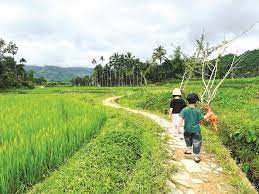 Giải quyết bài toán về du lịch nông thôn