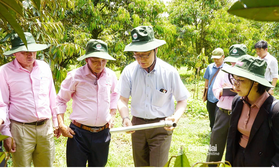 Đồng Nai hợp tác phát triển nông nghiệp hữu cơ theo công nghệ Nhật Bản Sapo
