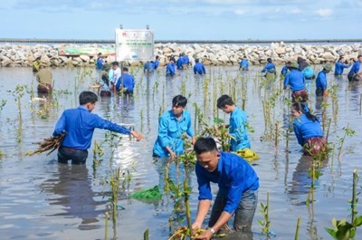 Cà Mau phát động chiến dịch trồng 1 tỷ cây xanh