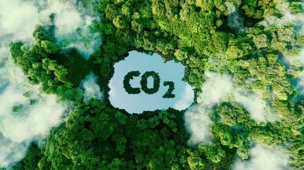 6 triệu tấn CO2 được đề xuất chuyển nhượng tại vùng Bắc Bộ