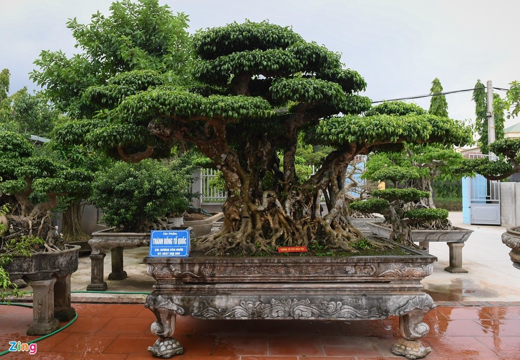 Sinh Vật Cảnh - Nghề làm "chơi" ăn thật