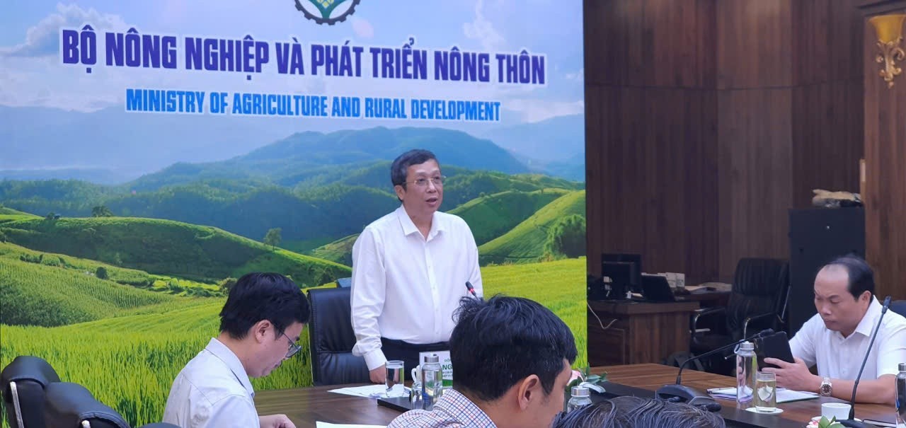 Tiềm năng của dừa tươi Việt Nam đối với thị trường Trung Quốc