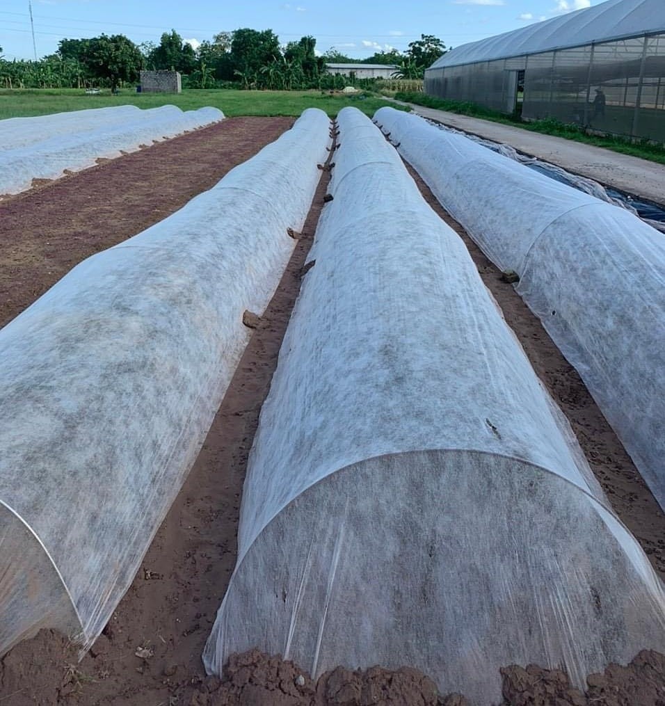 Vai trò của HTX trong phòng chống siêu bão siêu bão Hagi
