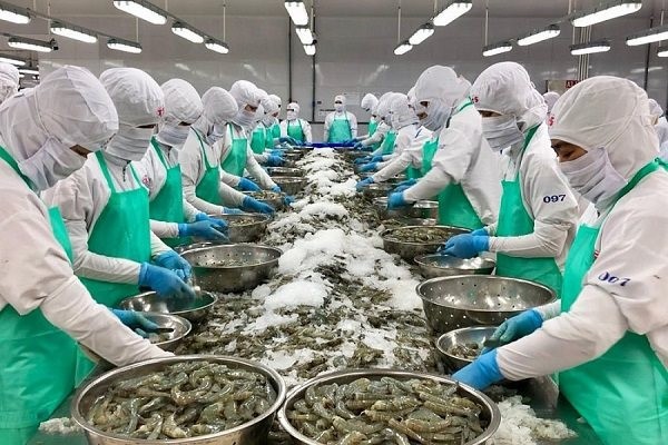 Mở rộng quy mô gói tín dụng hỗ trợ lâm, thủy sản sau thiên tai