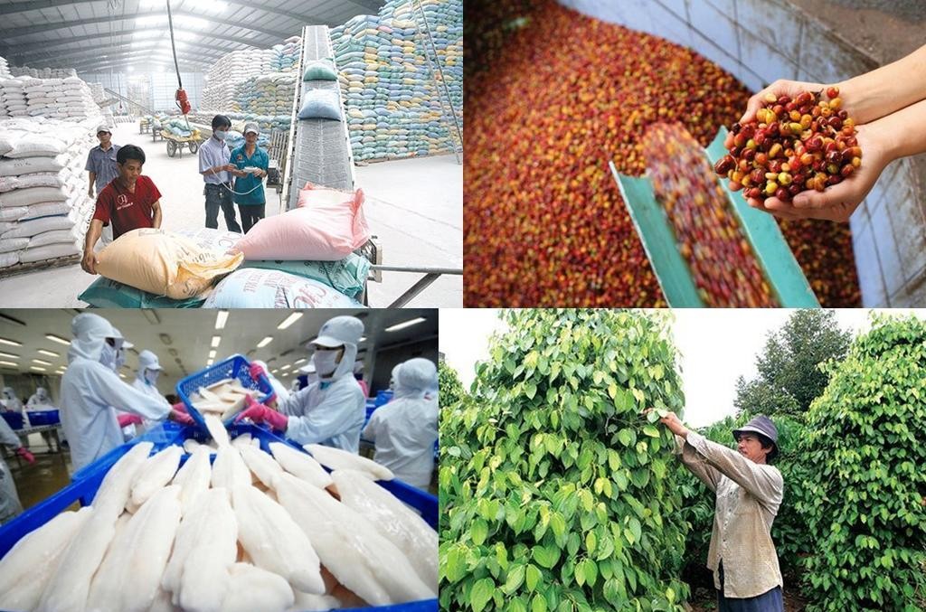 Xuất khẩu nông, lâm, thủy sản đạt trên 46 tỉ đô trong 9 tháng, xuất siêu tăng mạnh