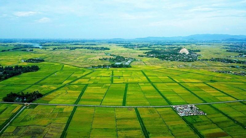 Nông dân gặp vướng mắc về đất đai: Nỗi lòng chưa có hồi đáp