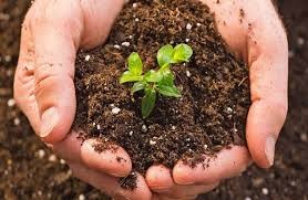 Bảo vệ và nâng cao chất lượng đất trồng tại các vùng sản xuất nông nghiệp ứng dụng công nghệ cao