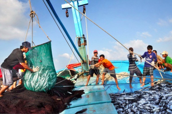 Xu hướng phát triển bền vững trong ngành thủy sản