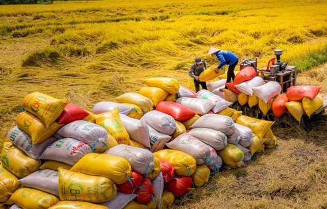 Tiềm năng và thách thức của ngành nông nghiệp Việt Nam trong bối cảnh xuất khẩu tăng cao