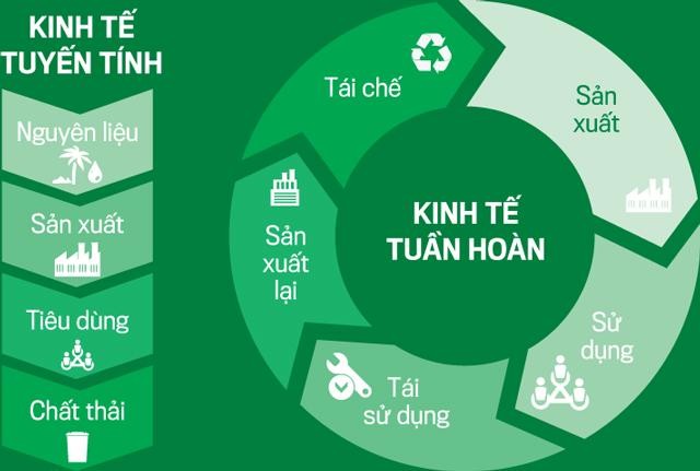 Nền kinh tế tuần hoàn: động lực của đổi mới kinh tế và phát triển xanh