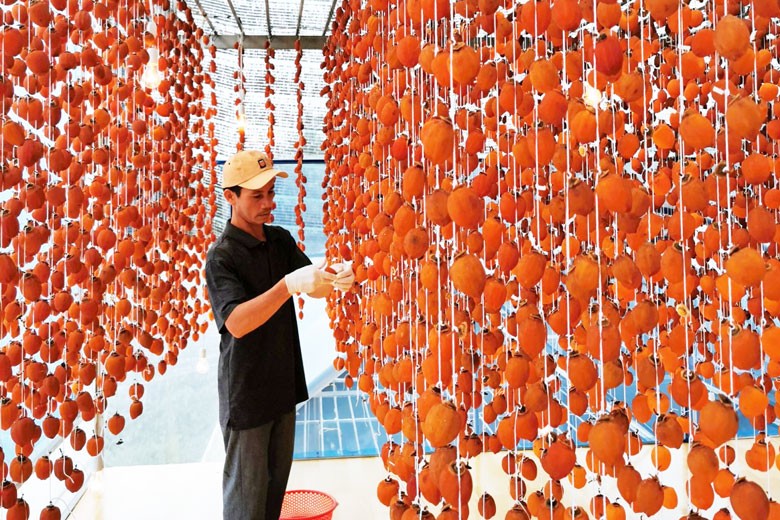 ''Bệ phóng thương mại điện tử Tây Nguyên'': Cần doanh nghiệp hưởng ứng