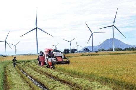Mục tiêu đưa ngành nông nghiệp miền Trung trở thành nền nông nghiệp sinh thái, hiện đại, hội nhập quốc tế.