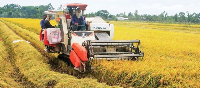 Mắt xích then chốt của kinh tế nông nghiệp hiện đại vùng ĐBSCL