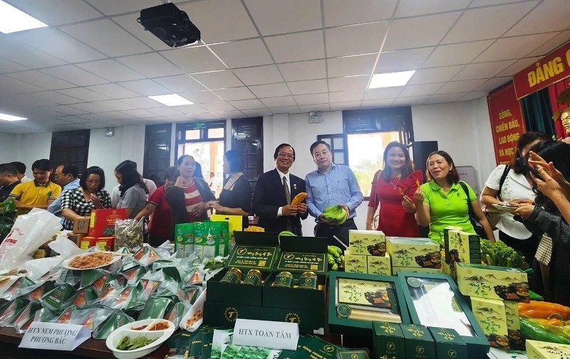 HTX Lâm Đồng phối hợp với HTX Hà Nội liên kết mở rộng thị trường tiêu thụ sản phẩm chủ lực