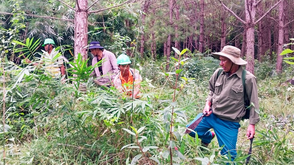 Ka La TơnGu thực hiện chính sách chi trả dịch vụ môi trường rừng