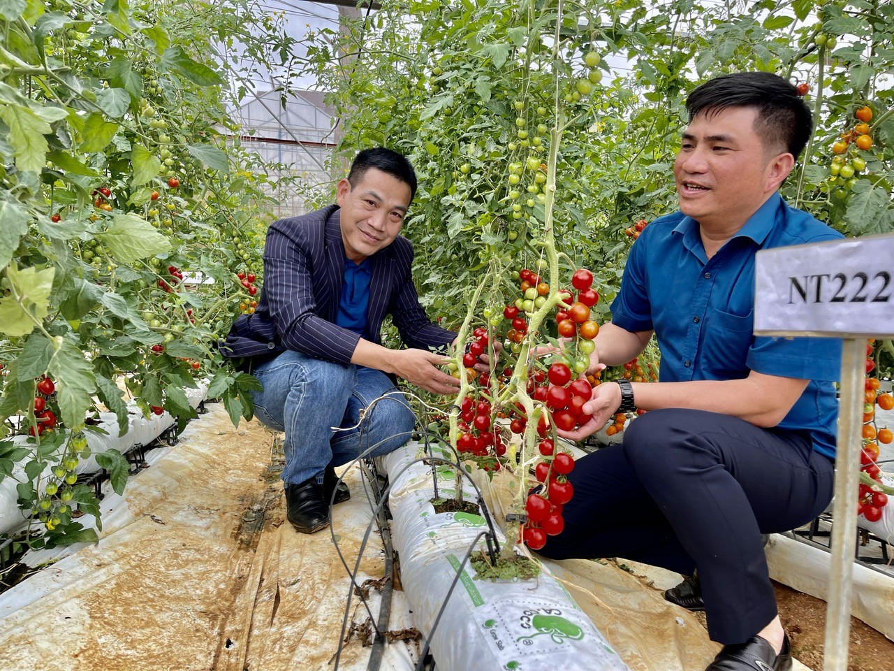 Công tác triển khai quản lý hoạt động kinh doanh du lịch canh nông trên địa bàn tỉnh Lâm Đồng
