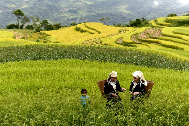 Tuyên Quang tiềm năng phát triển du lịch nông nghiệp