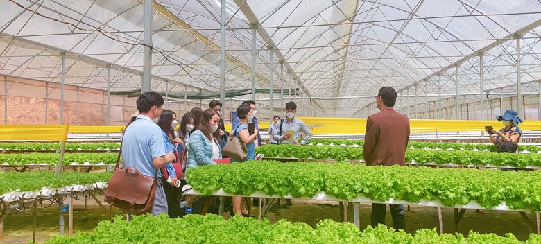 Ngành Nông nghiệp Lâm Đồng tiếp tục đổi mới mô hình tăng trưởng hướng đến toàn diện, bền vững và hiện đại