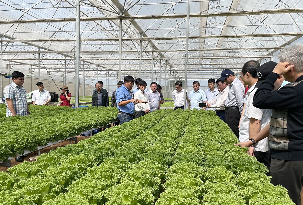 Đồng Nai khuyến khích nhân rộng các mô hình phát triển nông nghiệp hữu cơ