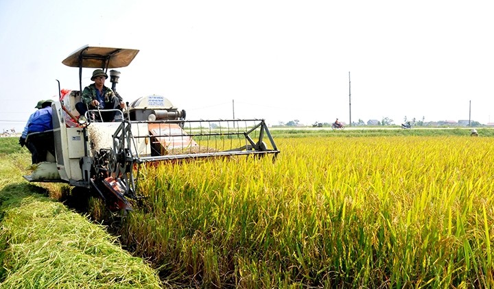Phát triển không gian nông nghiệp trong định hướng quy hoạch Thủ đô Hà Nội văn hiến-văn minh-hiện đại