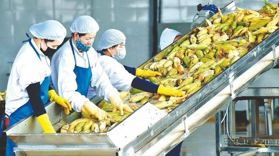 Nâng cao năng lực xuất khẩu nông sản Việt Nam