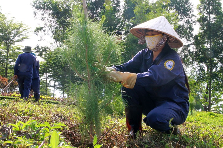 Công tác lâm nghiệp của tỉnh Lâm Đồng trong năm 2023