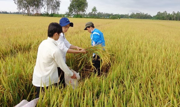 An Giang: Đẩy mạnh cơ cấu lại ngành nông nghiệp