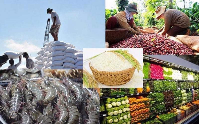 Xuất khẩu nông sản Việt sang thị trường Trung Quốc tăng trưởng đột biến trong tháng đầu năm