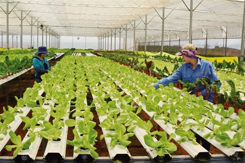 Lâm Đồng: Đánh giá tình hình kinh tế - xã hội tháng 2 năm 2024