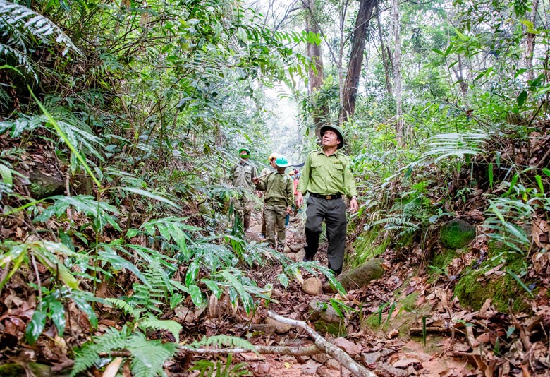 Di Linh chú trọng công tác phòng, chống cháy rừng