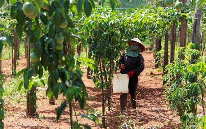 Đắk Nông chú trọng đảm bảo an sinh xã hội