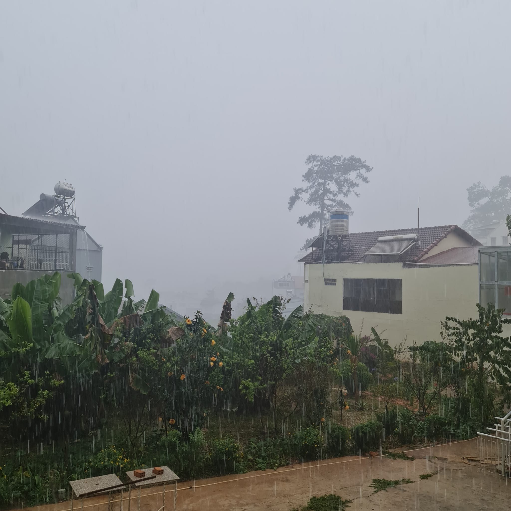 Lâm Đồng có trận mưa lớn sau nhiều tháng nắng nóng kéo dài