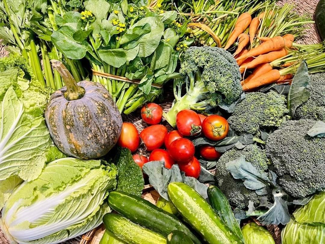 Nỗ lực đưa nông sản Lâm Đồng tham gia sâu vào chuỗi giá trị toàn cầu