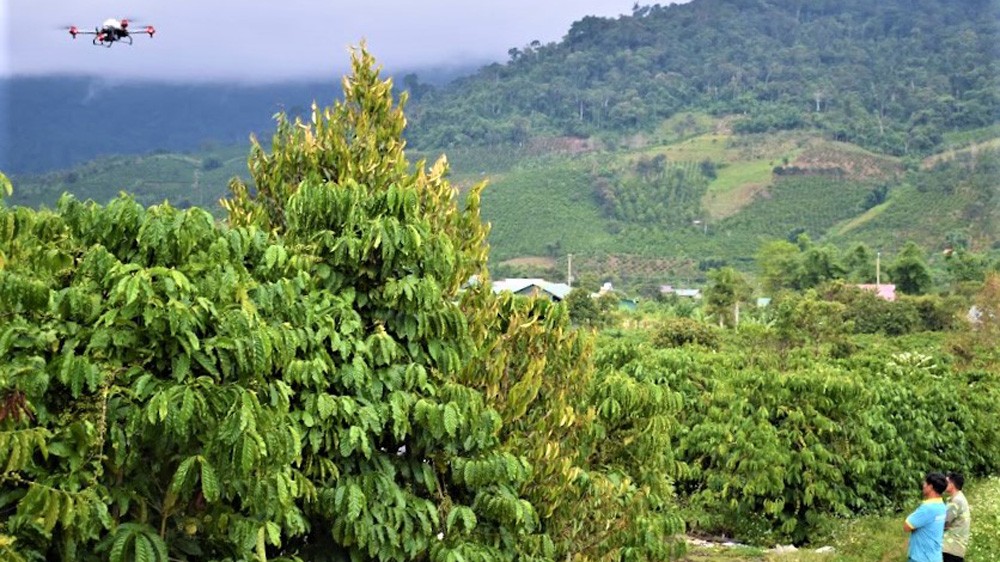 Lâm Đồng: Thúc đẩy chuyển đổi số trong sản xuất nông nghiệp