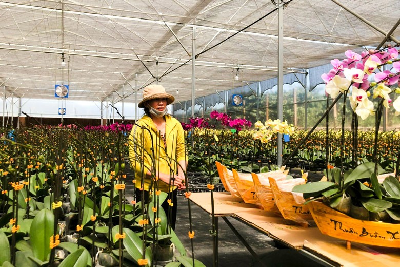 Lâm Đồng: Không ngừng nỗ lực nâng cao chất lượng nguồn nhân lực trẻ tại các địa phương