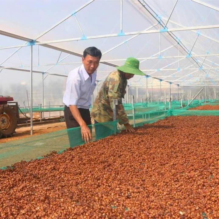 Huyện Di Linh được công nhận 13 sản phẩm đạt OCOP hạng 3 sao trong đợt 1/2024