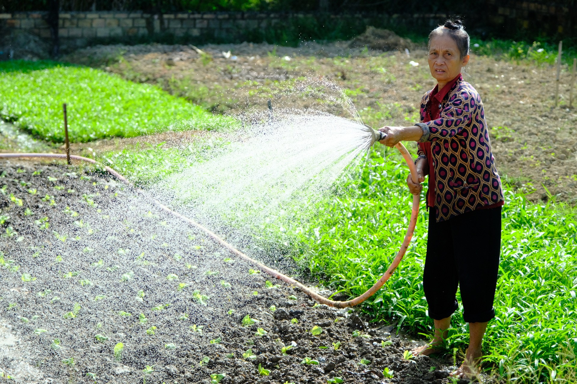 Cát Tiên: Nông thôn mới, diện mạo mới, sức sống mới