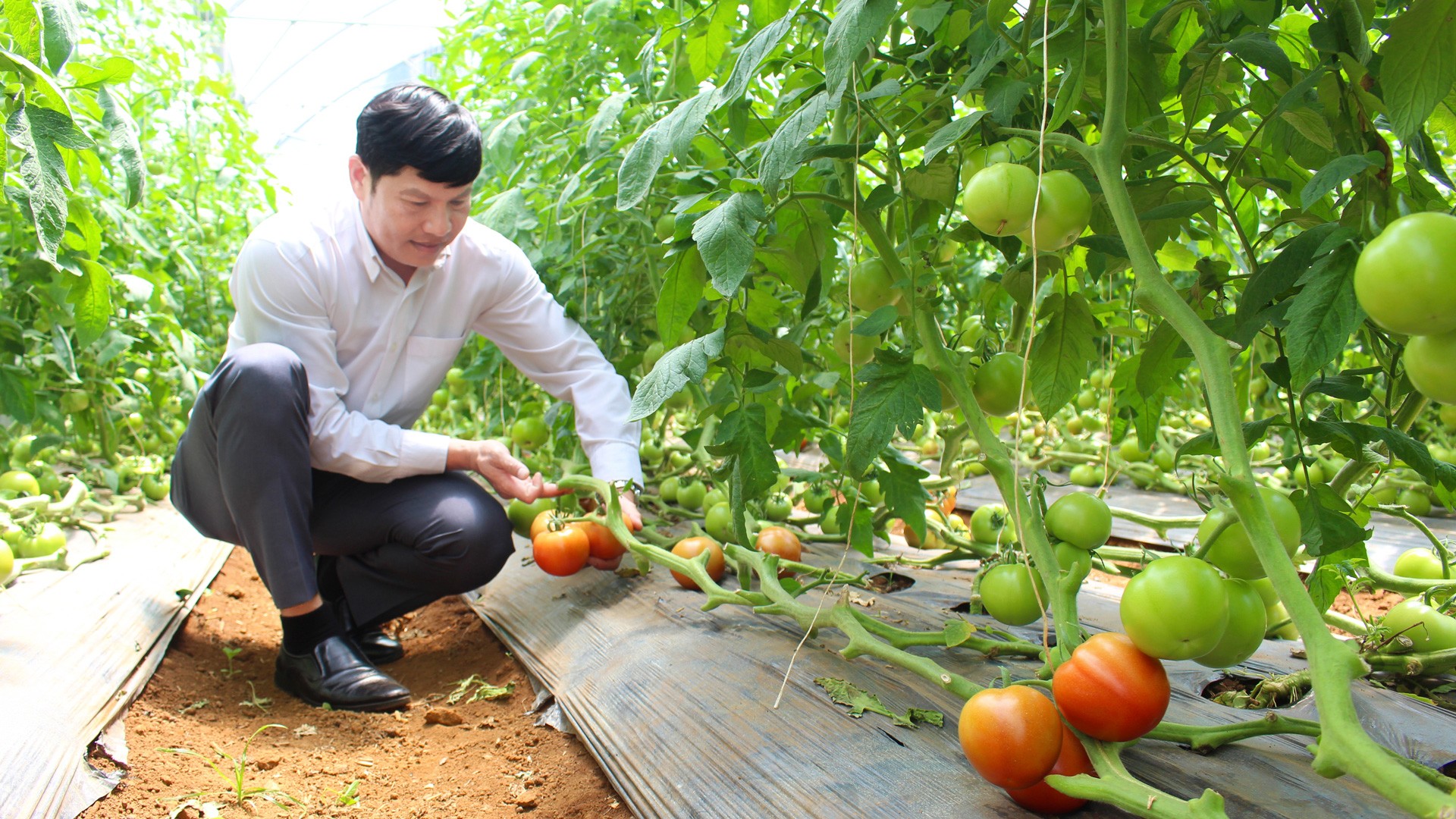 Điểm đến khám phá khoa học và công nghệ độc đáo, hấp dẫn