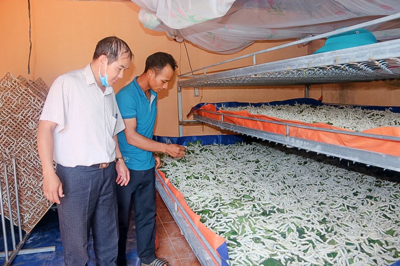 Đinh Trang Thượng hướng đến xây dựng khu vực chuyên canh trồng dâu nuôi tằm