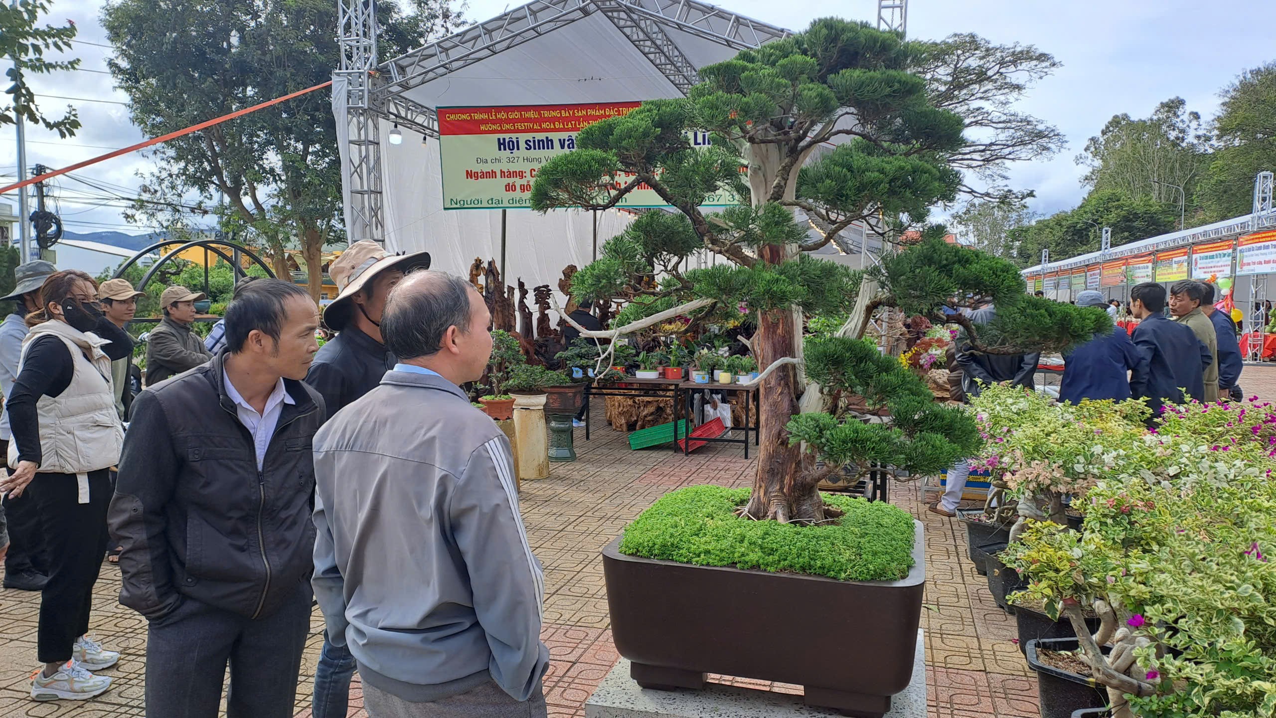 Ngắm nhìn đá cảnh nghệ thuật và trưng bày “Hương sắc Cà phê, Lan và Gỗ” tại Di Linh - Lâm Đồng