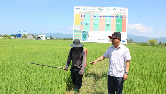 Bình Thuận: Triển khai điểm trồng lúa giảm phát thải hướng đến chuyển đổi nông nghiệp xanh