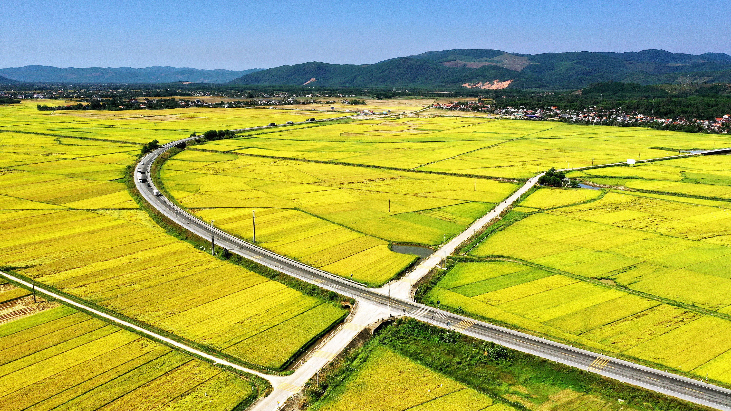 Sản xuất trồng trọt ở Quảng Ngãi – Một năm bội thu