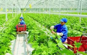 Bàn về tăng trưởng xanh và Nông nghiệp sinh thái