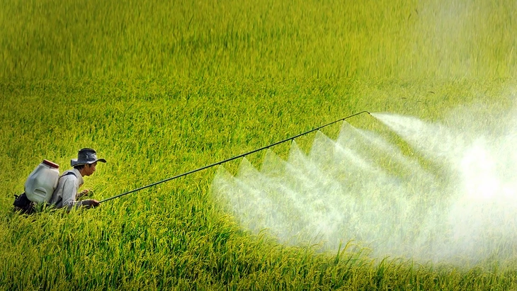 Đổi mới sáng tạo nông nghiệp: Từ lạm dụng thuốc trừ sâu đến giải pháp sinh thái bền vững