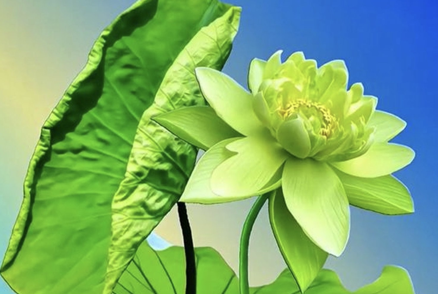 Ngòi bút kinh luân trên đài sen đức chính 