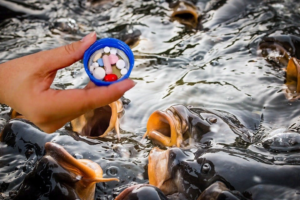 Hiện trạng và giải pháp kiểm soát kháng sinh trong nuôi trồng thủy sản tại Việt Nam